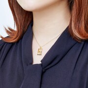 ネックレスの使用イメージ。