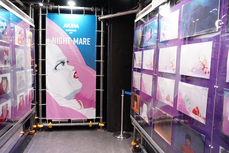 「NIGHT-MARE」のコーナー。