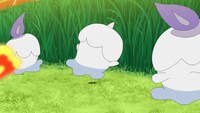 TVアニメ「ポケットモンスター」第20話「カブさんのバトル修行」の場面カット。(c)Nintendo・Creatures・GAME FREAK・TV Tokyo・ShoPro・JR Kikaku (c)Pokémon