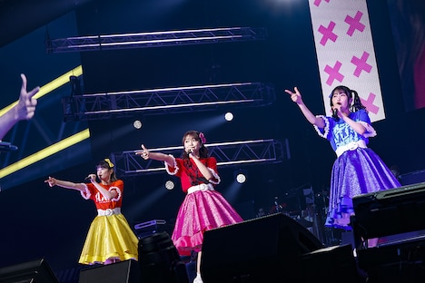 ミステリーキッス