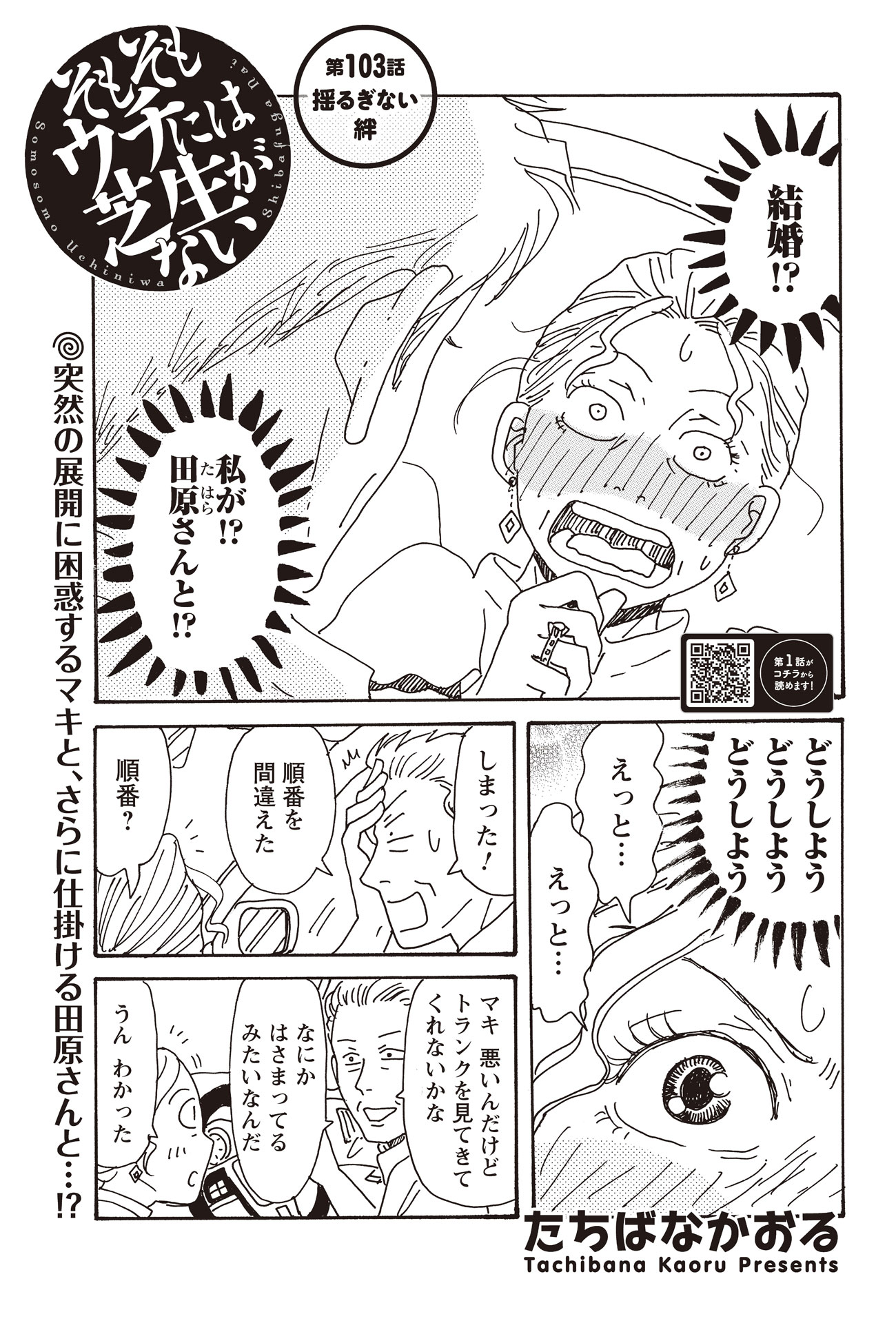 「そもそもウチには芝生がない」より。