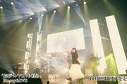 「結束バンド LIVE-恒星-」の様子。