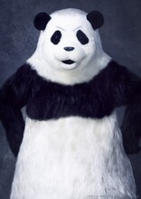 寺山武志扮するパンダ。