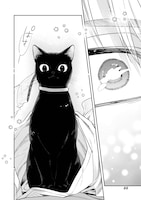 「みーちゃんは飼われたい」1巻より。