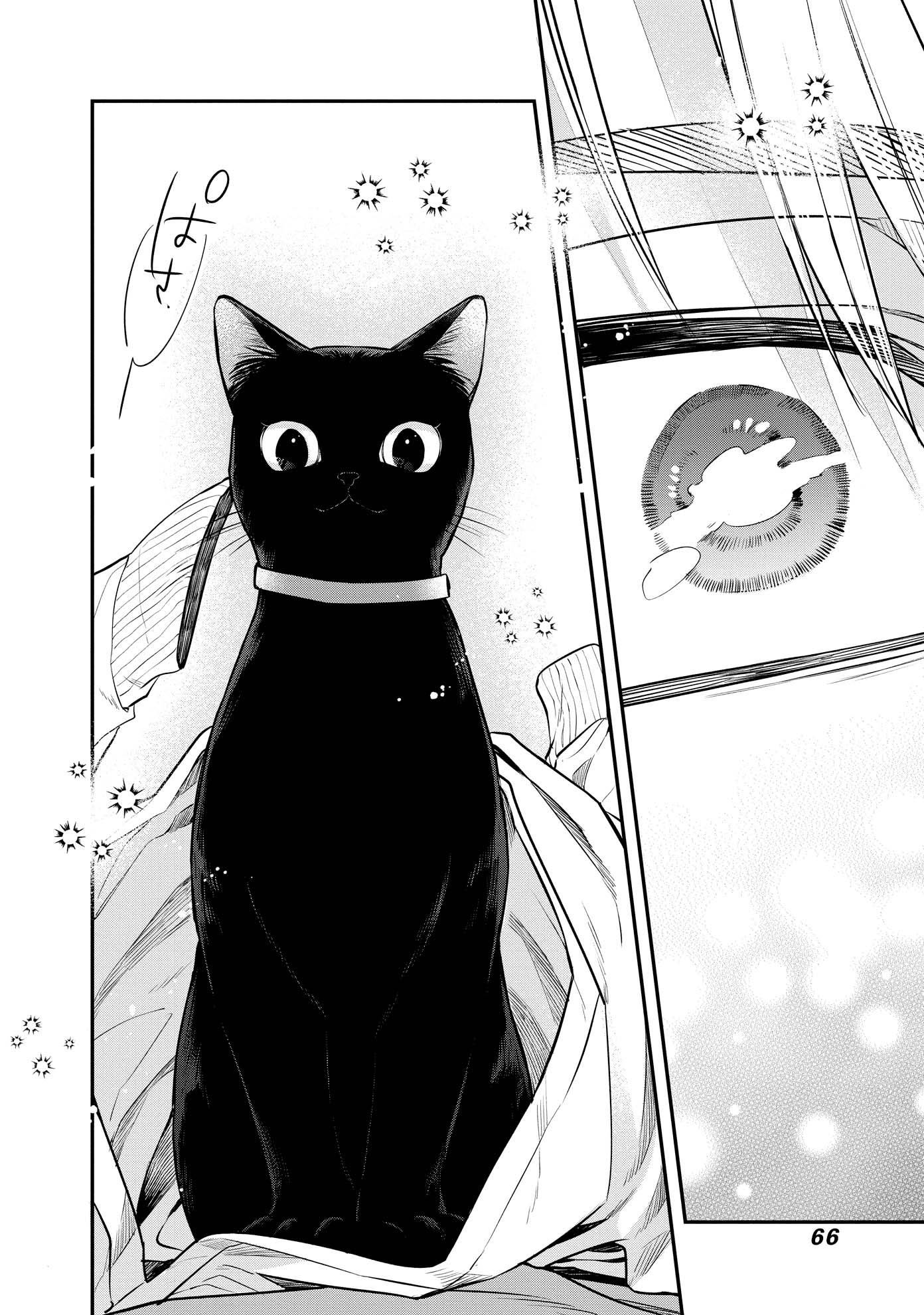 「みーちゃんは飼われたい」1巻より。