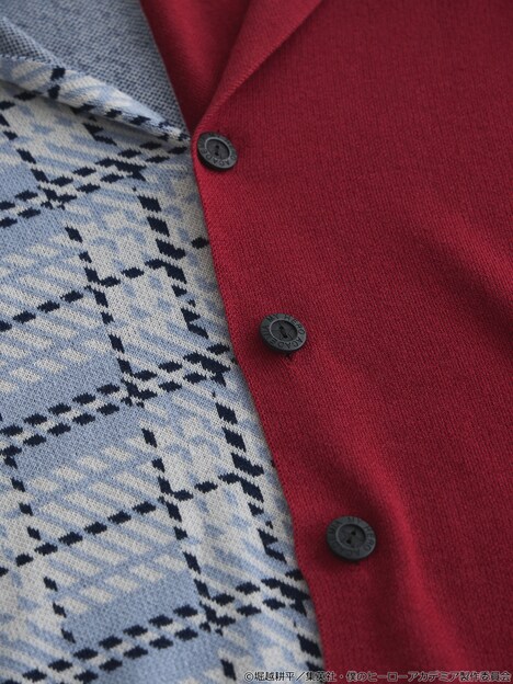 「轟焦凍 イメージ 2WAYニットストール」