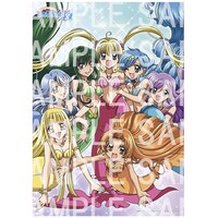 アニメイト2期BOX購入特典「B2布ポスター」イメージ