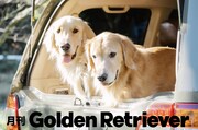 月刊ゴールデンレトリバーのイメージ。