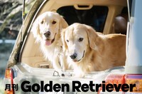 月刊ゴールデンレトリバーのイメージ。