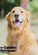 月刊ゴールデンレトリバーのイメージ。