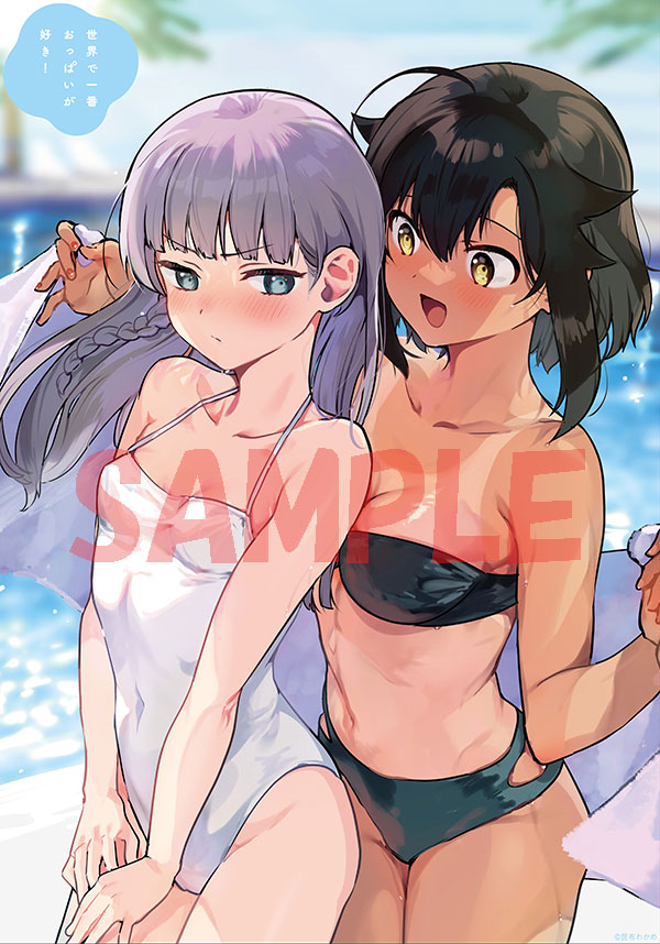 とらのあなの有償特典、描き下ろしA3タペストリーのサンプル。