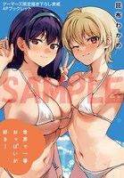 ゲーマーズの全巻購入特典として用意された4Pブックレットのサンプル。