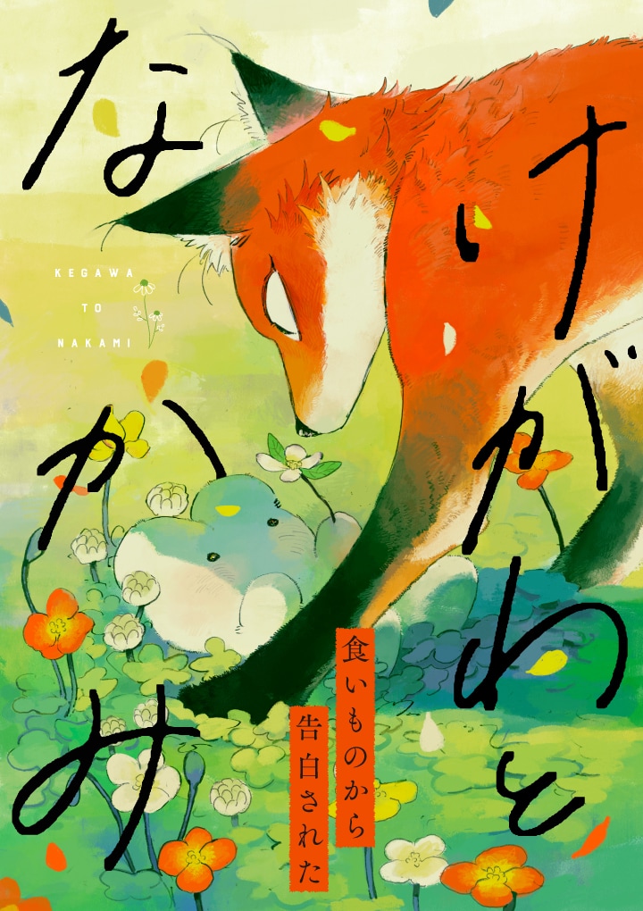 「けがわとなかみ」ビジュアル