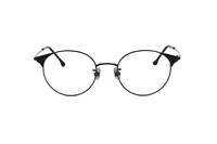 「ジジモデル」