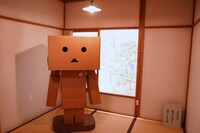 「よつばと！原画展」より、四畳半の部屋に鎮座する等身大ダンボー。写真では伝えきれない迫力がある。 (c)KIYOHIKO AZUMA/YOTSUBA STUDIO