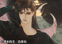 清水玲子がデビュー前に描いた作品。