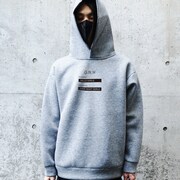 「DARK PHOENIX Hoodie [gray]」