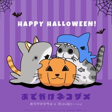 ペンギンボックス「おでかけ子ザメ」とキュルZ「夜は猫といっしょ」のコラボビジュアル。