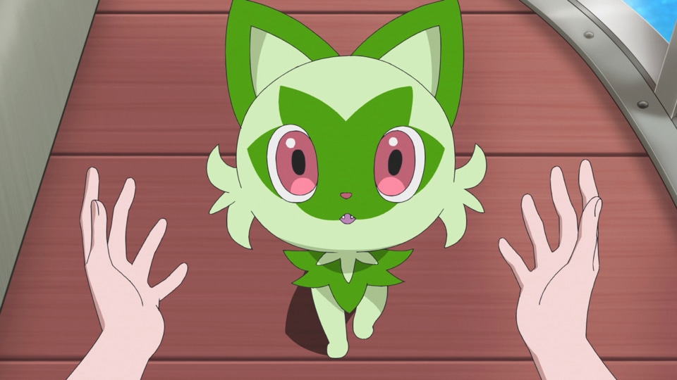 アニメ「ポケットモンスター」第2章「テラパゴスのかがやき」最新PVより。