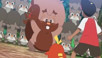 アニメ「ポケットモンスター」第2章「テラパゴスのかがやき」最新PVより。