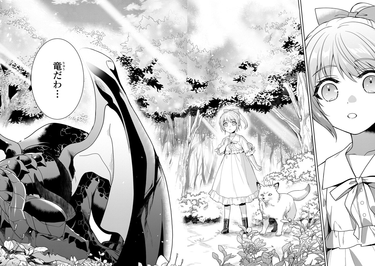 黒竜陛下の政略花嫁 魔女ですが、助けた竜に嫁入りさせられそう