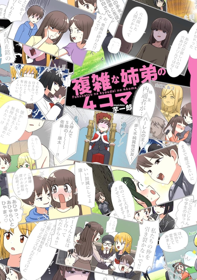 「複雑な姉弟の4コマ」