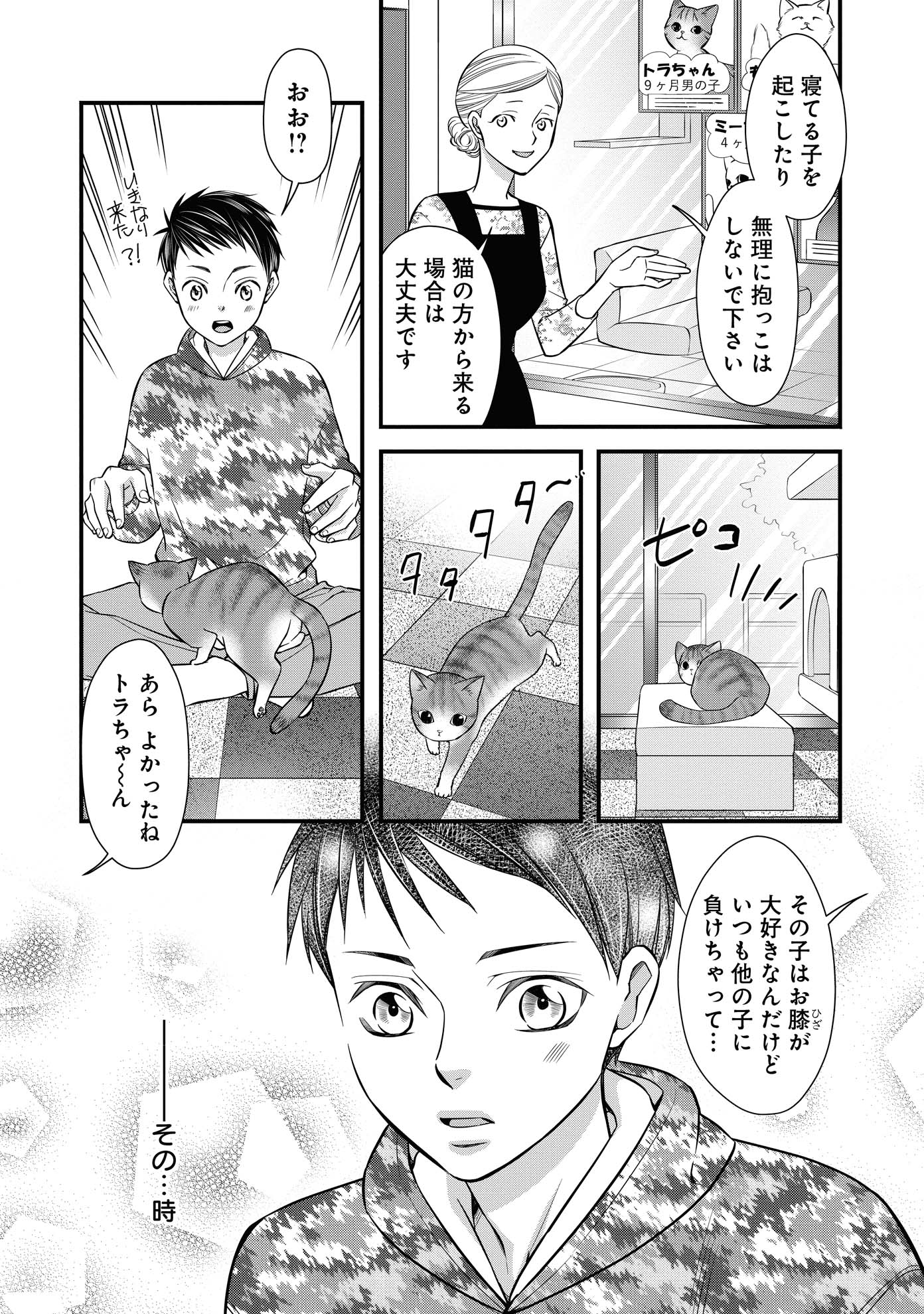 「ねこ活男子！～保護猫と暮らしたいだけなのに～」