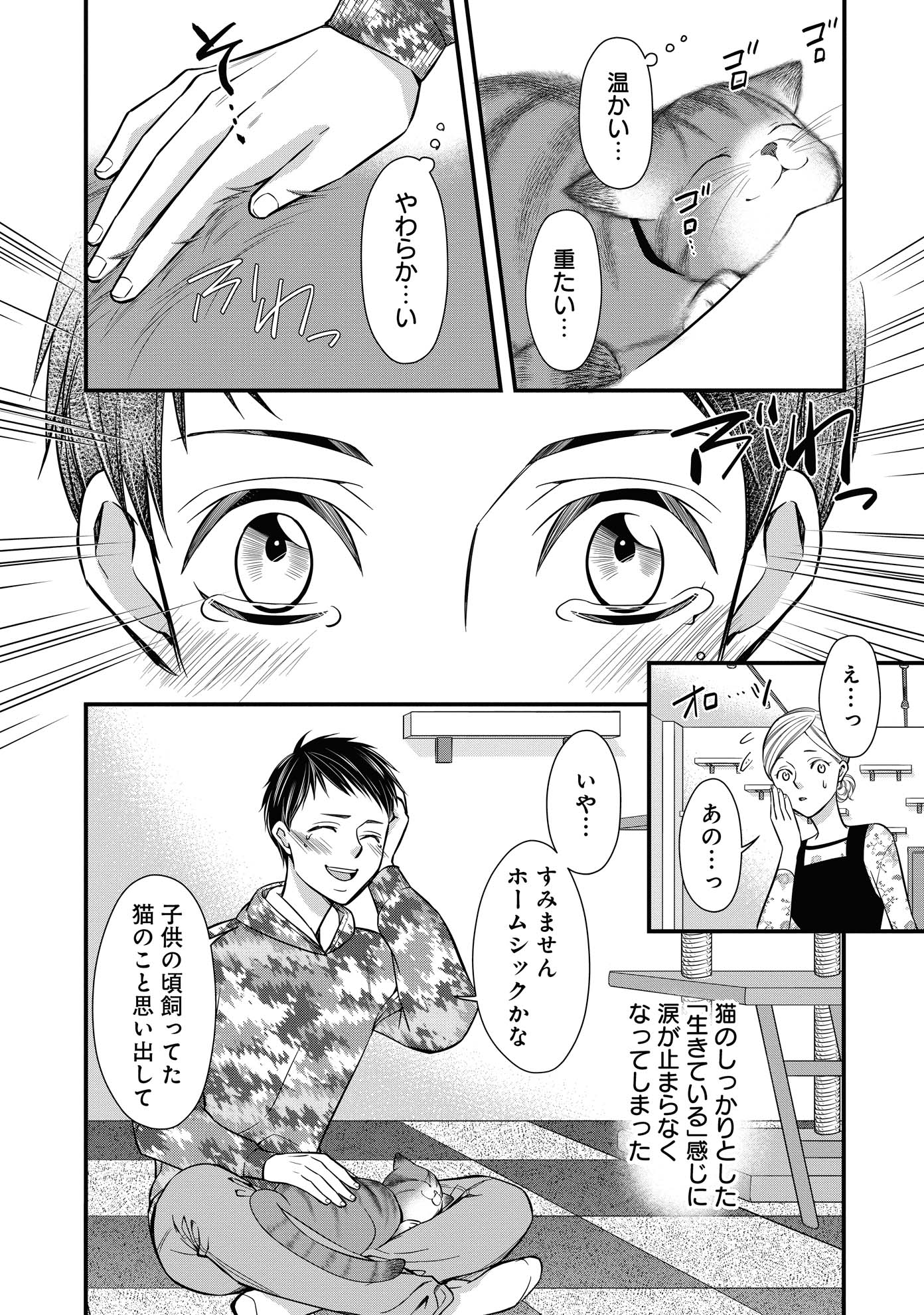 「ねこ活男子！～保護猫と暮らしたいだけなのに～」