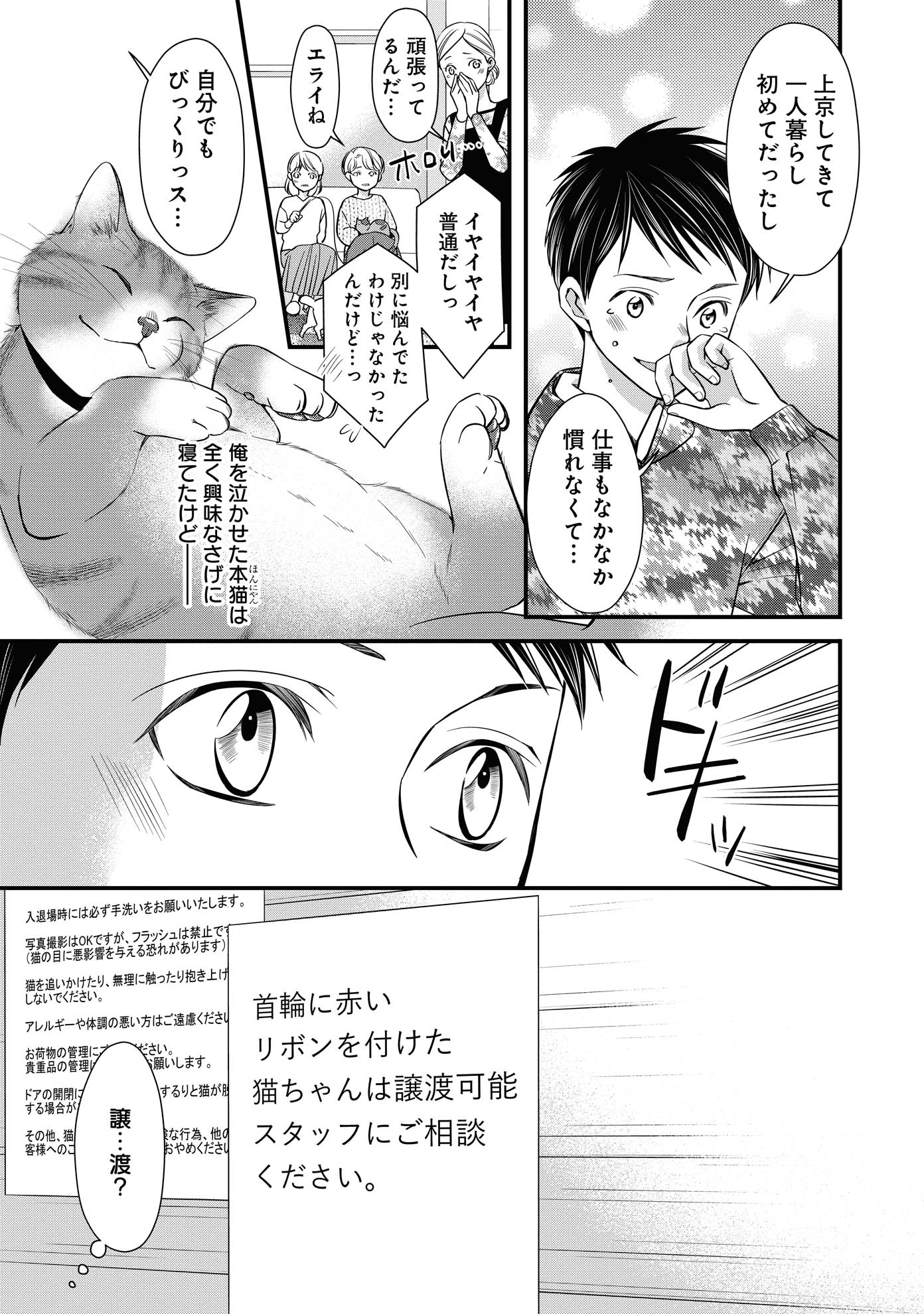 「ねこ活男子！～保護猫と暮らしたいだけなのに～」