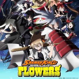 アニメ「SHAMAN KING」続編 葉・アンナ・ハオの声優は続投、日笠陽子は一人二役