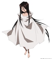 ハオ（CV：高山みなみ）。現シャーマンキング。葉の双子の兄。前シャーマンキングと考え方が合わず、一触即発の状態。幼児期の花と、とある理由から会ったことがある。