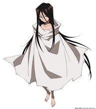 ハオ（CV：高山みなみ）。現シャーマンキング。葉の双子の兄。前シャーマンキングと考え方が合わず、一触即発の状態。幼児期の花と、とある理由から会ったことがある。