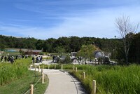 「もののけの里」の様子。