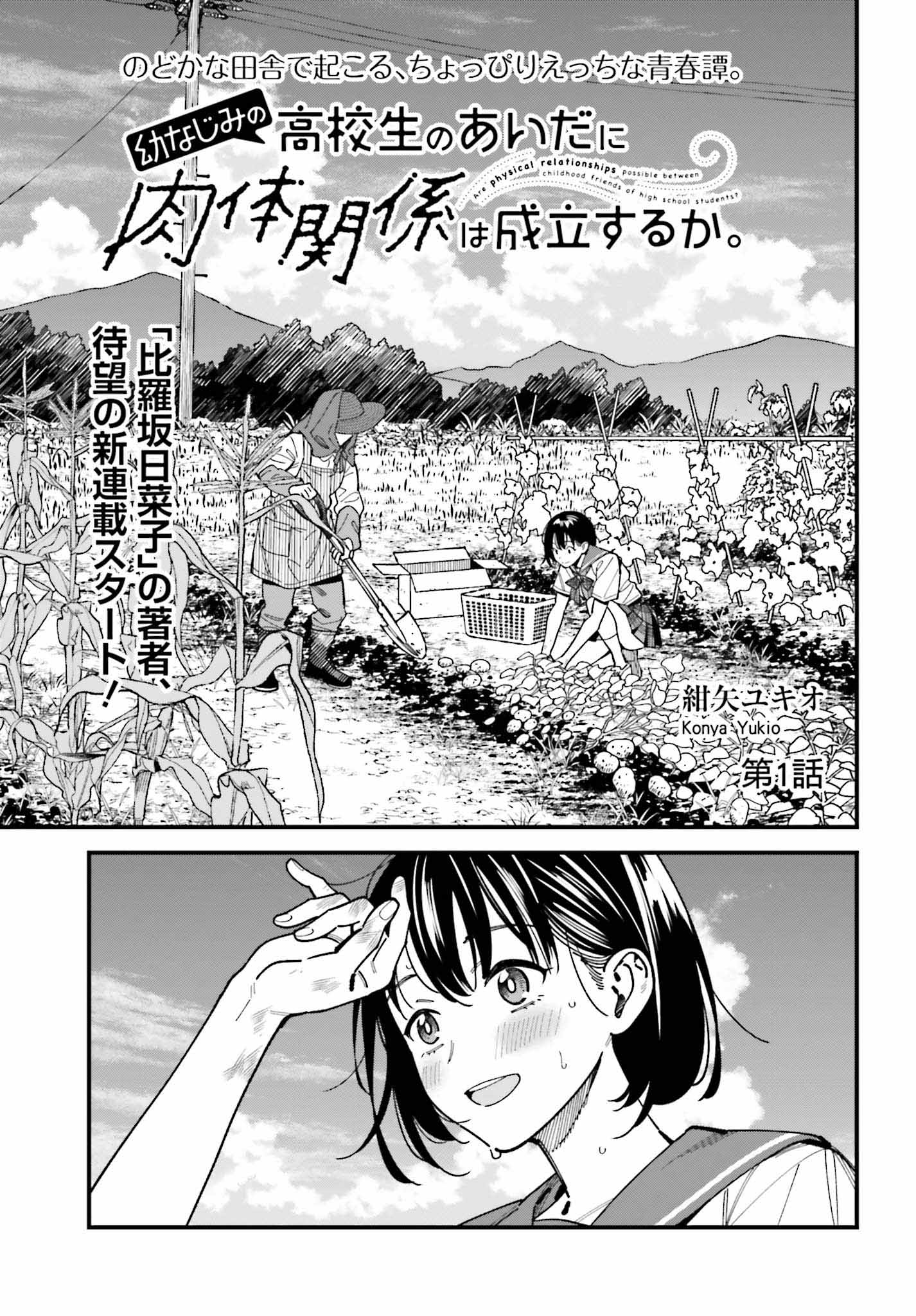 「幼なじみの高校生のあいだに肉体関係は成立するか。」より。