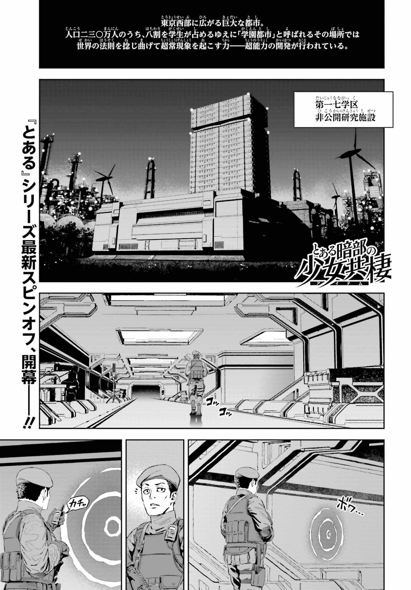 「とある暗部の少女共棲（アイテム）」より。