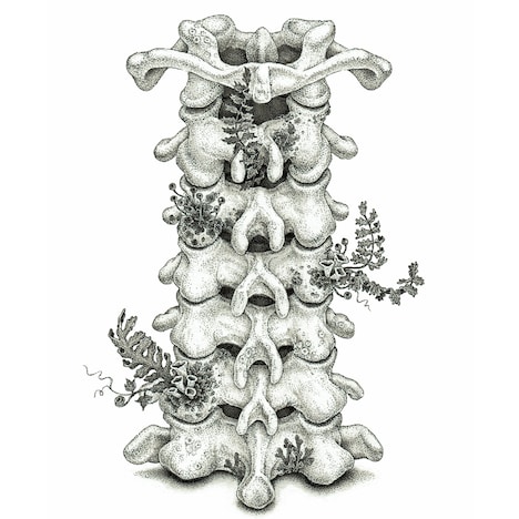 ヒグチアイ「いってらっしゃい」配信ジャケット