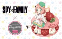 「SPY×FAMILY」と全日本マカロン協会のコラボビジュアル。