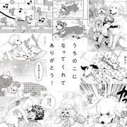 「DOG SIGNAL」のキャンペーン画像。