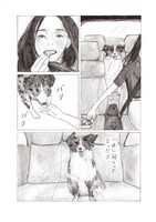 劉倩帆の「ドライブ」。