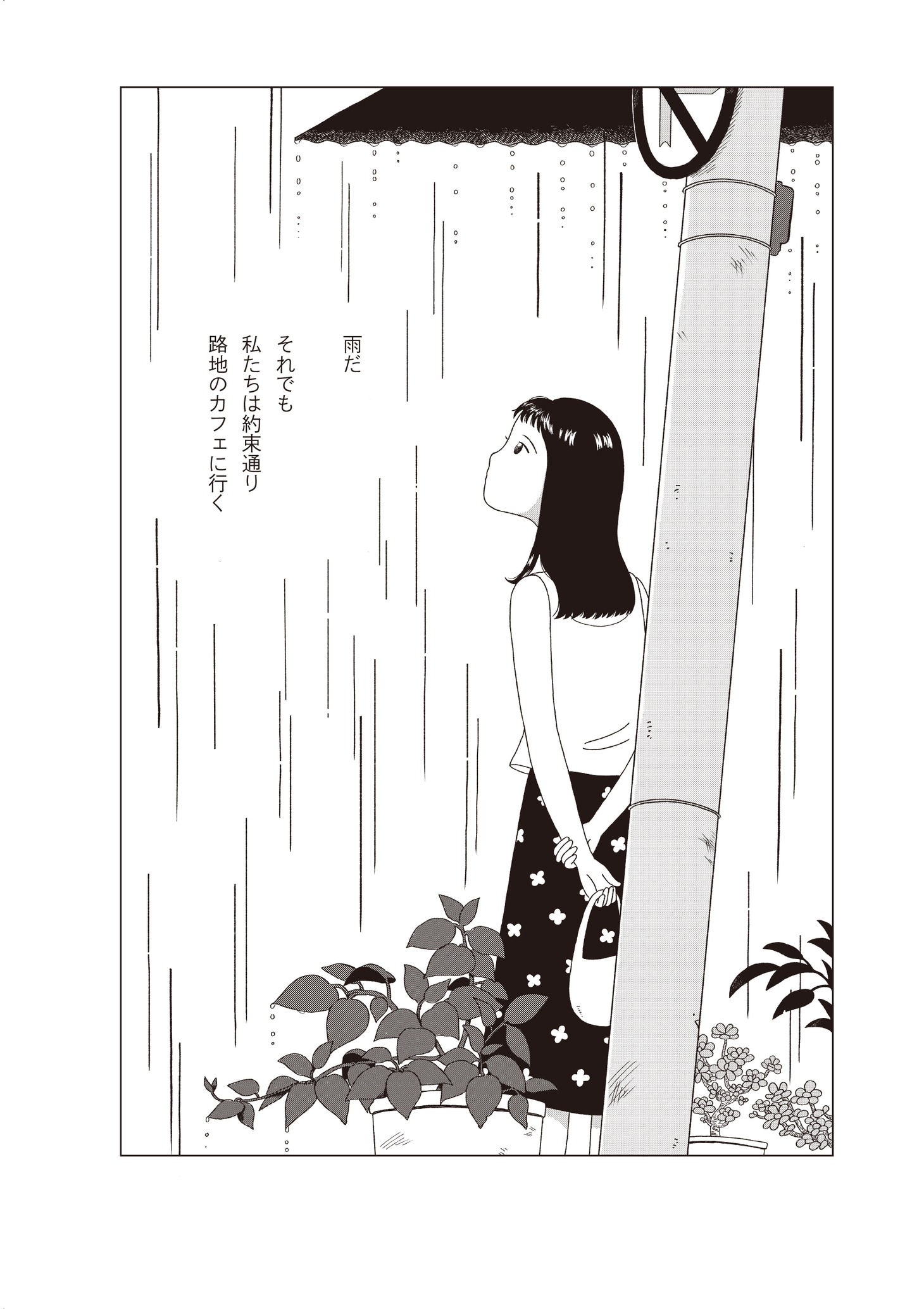 羅荷の「雨の追憶」。