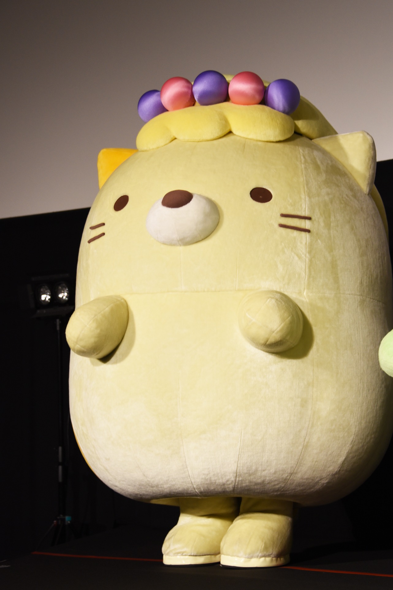 ねこ
