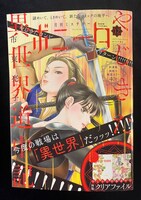 月刊ミステリーボニータ12月号