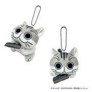 「夜は猫といっしょ ぶるぶるず」より「ねこじゃらしキュルガ」。