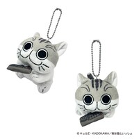 「夜は猫といっしょ ぶるぶるず」より「ねこじゃらしキュルガ」。