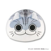 「夜は猫といっしょ 超まんまるもちもちクッション」正面から見た様子。