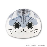 「夜は猫といっしょ 超まんまるもちもちクッション」正面から見た様子。