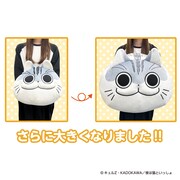 「夜は猫といっしょ 超まんまるもちもちクッション」大きさはこんな感じ。