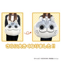 「夜は猫といっしょ 超まんまるもちもちクッション」大きさはこんな感じ。