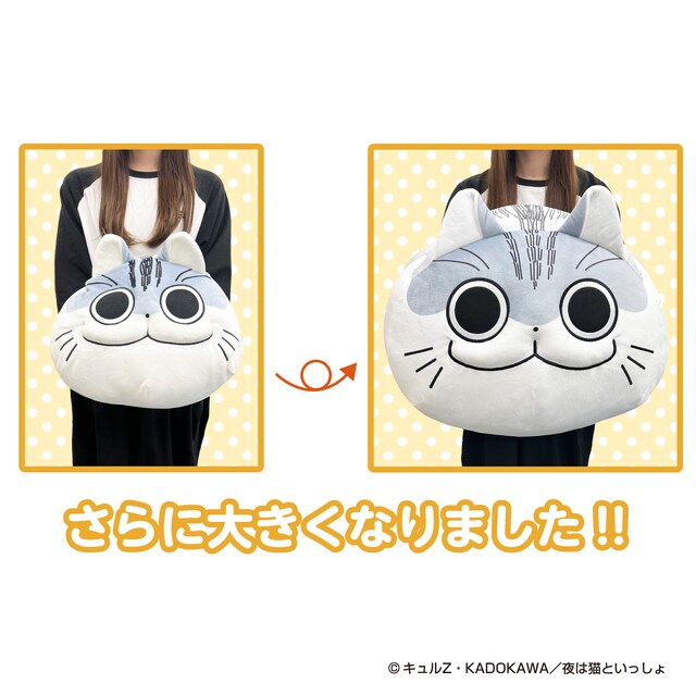 「夜は猫といっしょ 超まんまるもちもちクッション」大きさはこんな感じ。