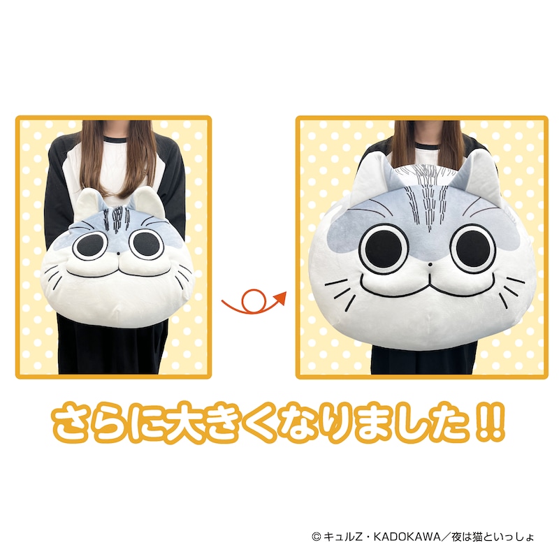 「夜は猫といっしょ 超まんまるもちもちクッション」大きさはこんな感じ。